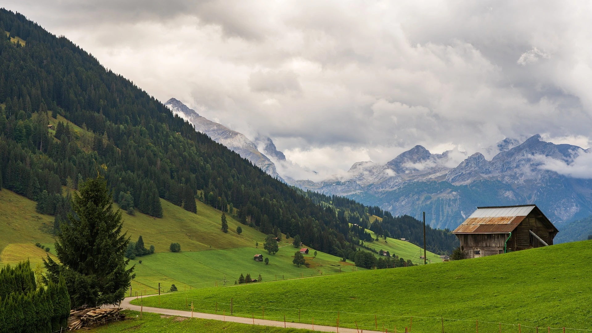 Swiss Alps route map from Aigle to Appenzell - Fondue Fury cycling challenge